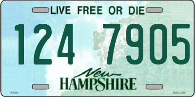 NH license plate 1247905