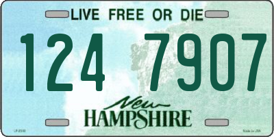 NH license plate 1247907