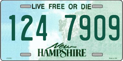 NH license plate 1247909