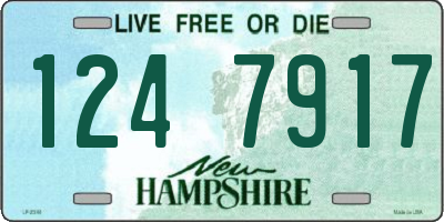 NH license plate 1247917
