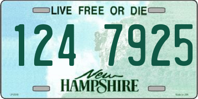 NH license plate 1247925