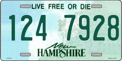 NH license plate 1247928