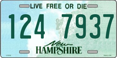 NH license plate 1247937