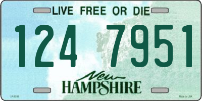 NH license plate 1247951
