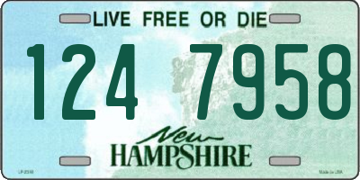 NH license plate 1247958