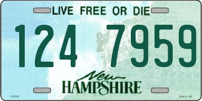 NH license plate 1247959