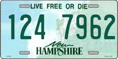 NH license plate 1247962