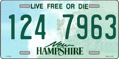 NH license plate 1247963