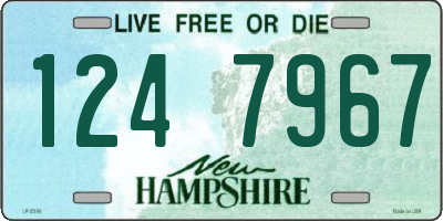 NH license plate 1247967