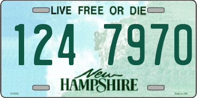 NH license plate 1247970