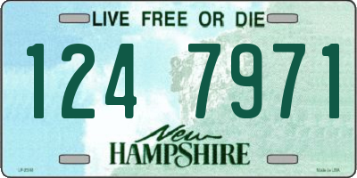 NH license plate 1247971