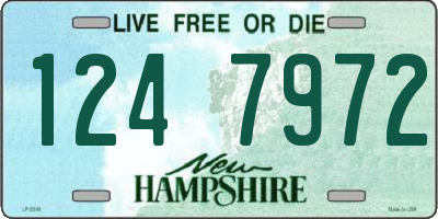 NH license plate 1247972