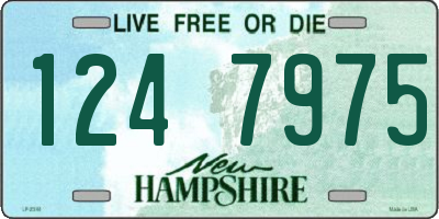 NH license plate 1247975