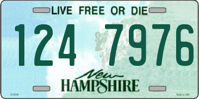 NH license plate 1247976
