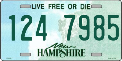 NH license plate 1247985