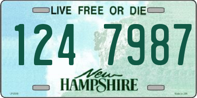 NH license plate 1247987