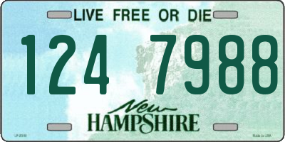 NH license plate 1247988