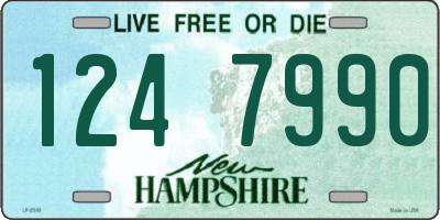 NH license plate 1247990
