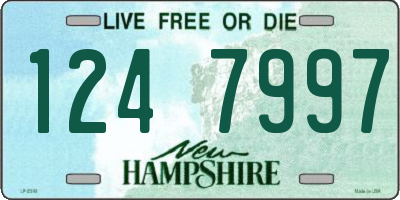 NH license plate 1247997