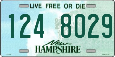 NH license plate 1248029
