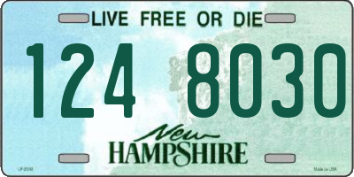 NH license plate 1248030