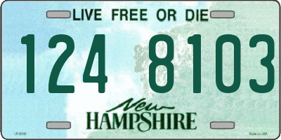NH license plate 1248103