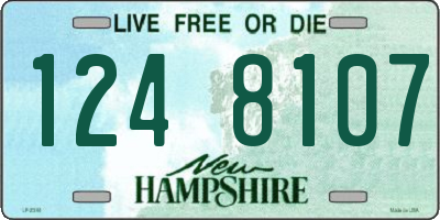 NH license plate 1248107