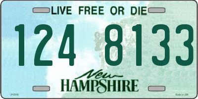 NH license plate 1248133