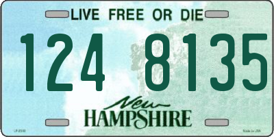 NH license plate 1248135