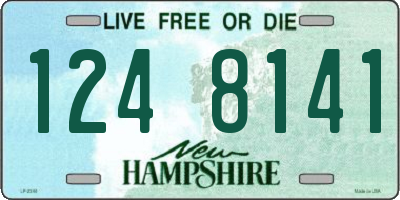 NH license plate 1248141