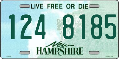 NH license plate 1248185