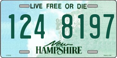 NH license plate 1248197