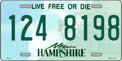 NH license plate 1248198