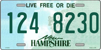 NH license plate 1248230
