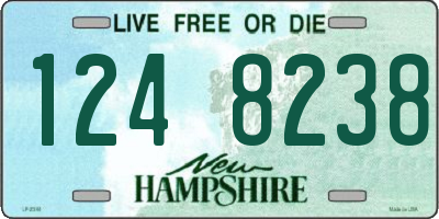 NH license plate 1248238