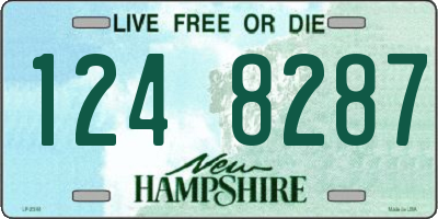 NH license plate 1248287