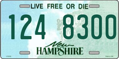 NH license plate 1248300