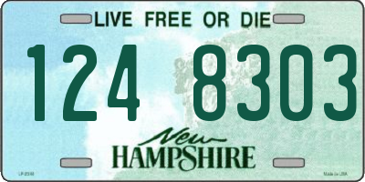 NH license plate 1248303