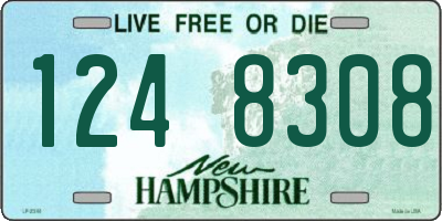 NH license plate 1248308