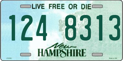 NH license plate 1248313