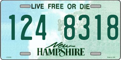 NH license plate 1248318