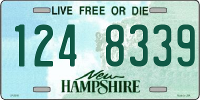 NH license plate 1248339
