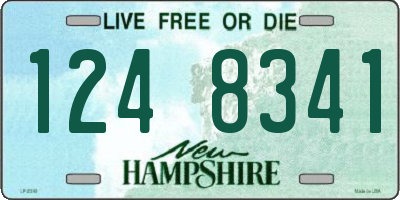 NH license plate 1248341