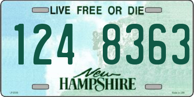 NH license plate 1248363