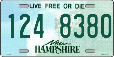 NH license plate 1248380