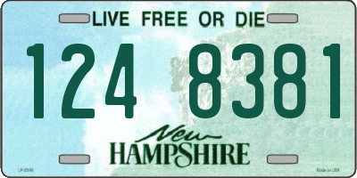 NH license plate 1248381