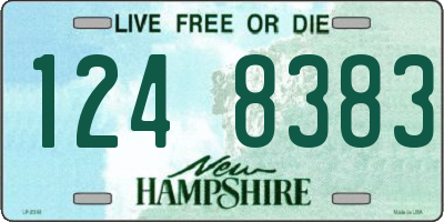 NH license plate 1248383