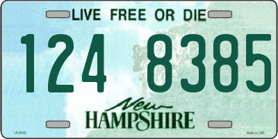 NH license plate 1248385