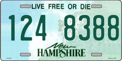 NH license plate 1248388