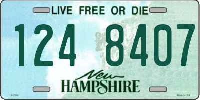 NH license plate 1248407